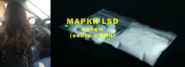 спиды Михайлов