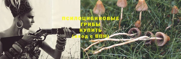 дурь Медвежьегорск
