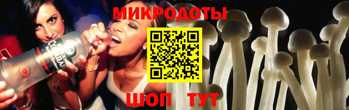 Муравленко  Галлюциногенные грибы Psilocybe  Вход с VPN 