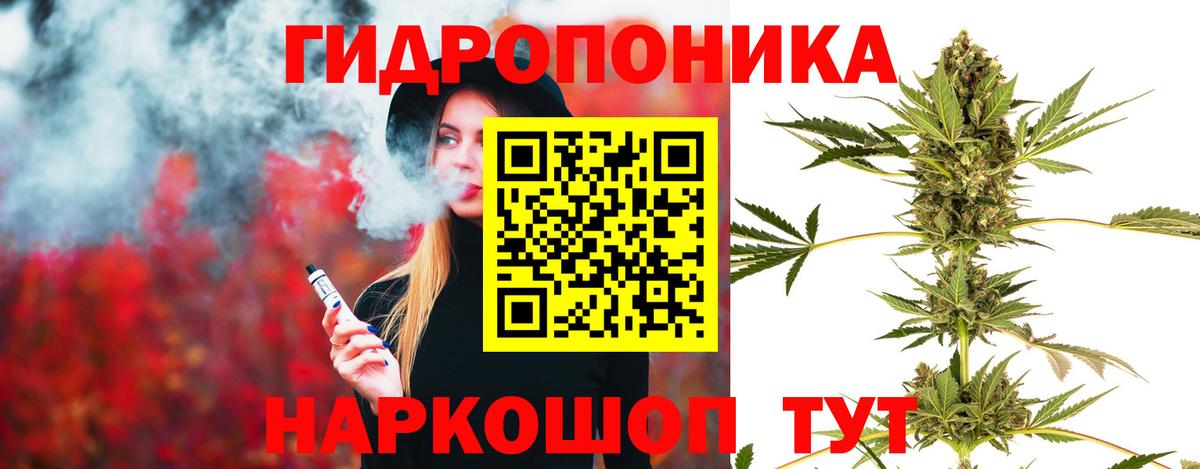 Шишки марихуана семена  Каннабис Ganja  Вход с VPN  Марихуана индика  Конопля LSD WEED  Муравленко 